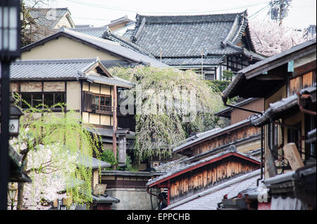 Die alte Stadt von Kyoto Japan mit traditionellen Holzhäusern und typisch japanischen Dächer mit Kirschblüten Stockfoto