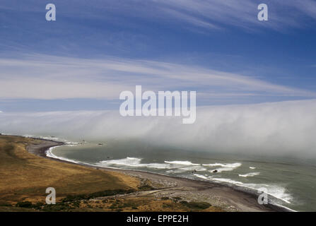 Nebel rollt vom Pazifischen Ozean an der verlorenen Küste, Nord-Kalifornien Stockfoto