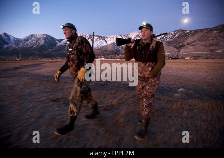 Zwei Jäger jagen Gänse in den frühen Morgenstunden in Carson City, NV. Stockfoto
