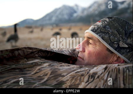 Ein Jäger steckt seinen Kopf aus einer blinden während Jagd Gänse in Carson City, NV. Stockfoto