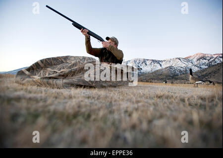 Ein Jäger soll sein Gewehr aus einem Blind beim Jagen Gänse in Carson City, NV. Stockfoto