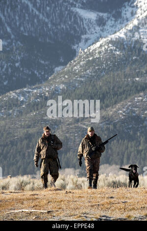 Zwei Jäger verfolgen Gänse mit ihrem Hund in Nevada. Stockfoto