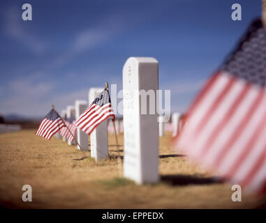 US-Flaggen schmücken die Gräber und Grabsteine gefallener Soldaten am sonnigen, ruhigen Veterans Day auf den Friedhöfen Militär von Ft. Stockfoto