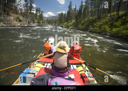 Middle Fork des Salmon River-Rafting, ID Stockfoto