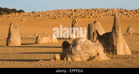 Die Pinnacles, Western Australia, Australia Stockfoto