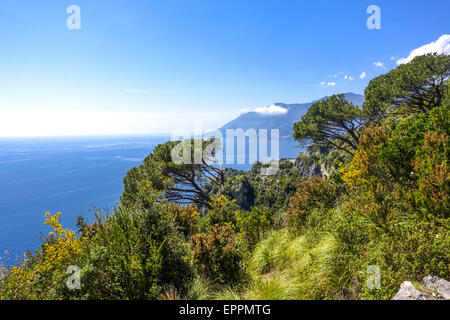 Maiori, Amalfitana, Italien Stockfoto