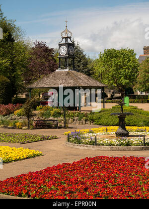 Frühlingsblumen in Hall Leys Park, Matlock, Derbyshire, Großbritannien. Stockfoto