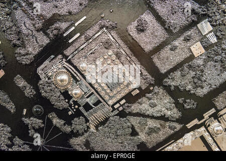 Florida Miami Art Basel internationale Messe moderne zeitgenössische Bilder Skulpturen Damien Hirst Skalpelle medizinische clip Stockfoto