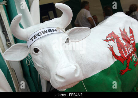 Nationaler Eisteddfod, Vale of Glamorgan, Kuh auf dem Bauern-Union-Stand Stockfoto