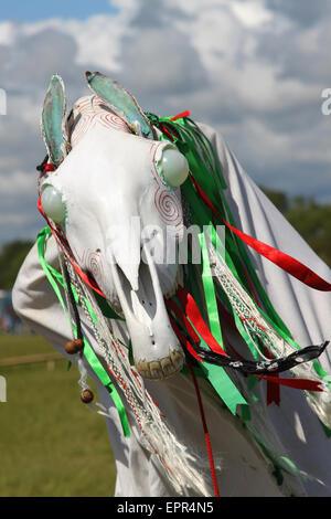 Nationaler Eisteddfod, Vale of Glamorgan, Mari Llwyd Stockfoto