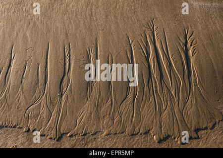 Muster in den Sand am Nicholaston Strand, Oxwich Bay, Gower, Wales Stockfoto