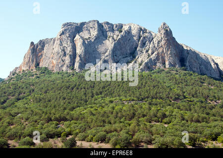 höchster Berg und dichtem Wald, an dessen Fuße Stockfoto