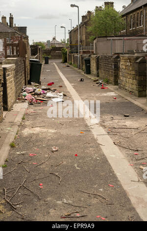 Fliegen Sie Trinkgeld ein Schandfleck in Bradford, West Yorkshire Stockfoto