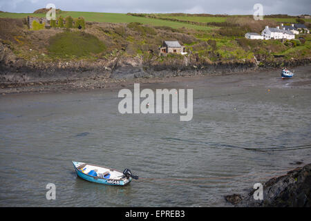 Strand und Küste bei Abercastell oder Abercastell im Pembrokeshire Coast National Park, Wales, Großbritannien im Mai Stockfoto