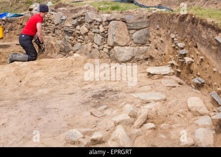 Aushubarbeiten in Whitesands Bay, Pembrokeshire Coast National Park, Wales, Großbritannien im Mai - Frau Aushub Stockfoto