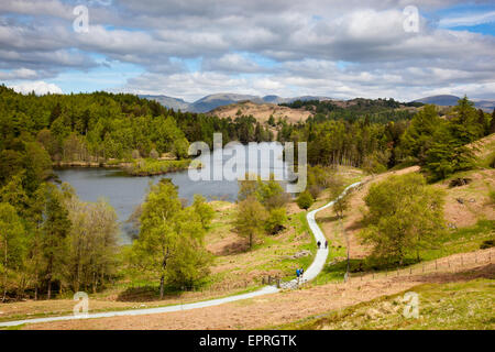 Wanderer auf der Kreisbahn um Tarn Hows, in der Nähe von Hawkshead Hill, Lake District, Cumbria Stockfoto