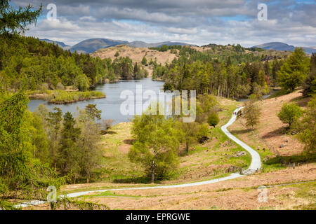 Wanderer auf der Kreisbahn um Tarn Hows, in der Nähe von Hawkshead Hill, Lake District, Cumbria Stockfoto