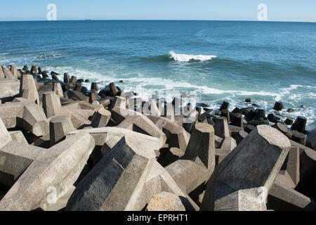 Konkrete Delosse Einheiten an der Küste in der Nähe von Kernkraftwerk Torness. Torness Punkt in der Nähe von Dunbar in East Lothian, Scotland Stockfoto