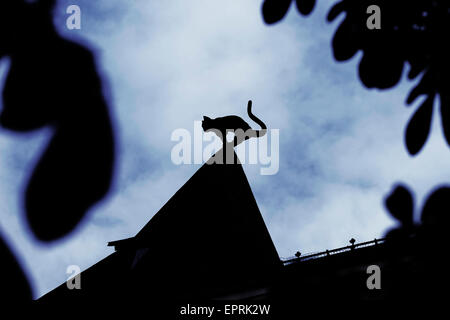 Wütend - auf der Suche gemeißelte Figur der Katze auf Türmchen auf dem Dach an der Katze Haus ein Gebäude in der Altstadt von Riga, der Hauptstadt Lettlands. Riga ist eines der größten Zentren des Jugendstils, mit mehr als ein Drittel der Gebäude der zentralen Bezirk errichtet im Stil. Stockfoto