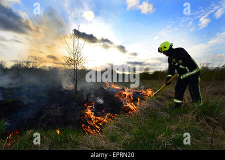 Ein Feuerwehrmann Außerbetriebnahme Flammen an einem Feld Feuer. Bild: Scott Bairstow/Alamy Stockfoto