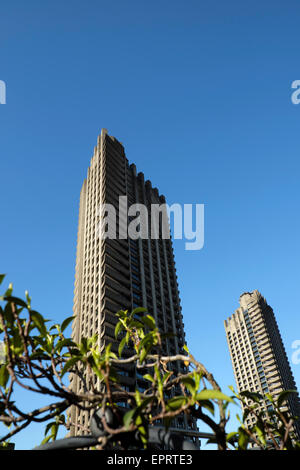 Moderne Architektur der 1960er Jahre im Barbican Estate hohe rise Wohnungen Mehrfamilienhäuser Hochhaus und blauer Himmel im Frühjahr mit Kletterpflanze wachsen auf dem Balkon in London EC2Y England UK KATHY DEWITT Stockfoto