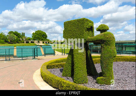 Abgeschnittene Box TV Kameramann. Stockfoto