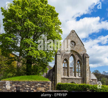 Valle Crucis Abbey, in der Nähe von Llangollen, Denbighshire, Wales, UK Stockfoto