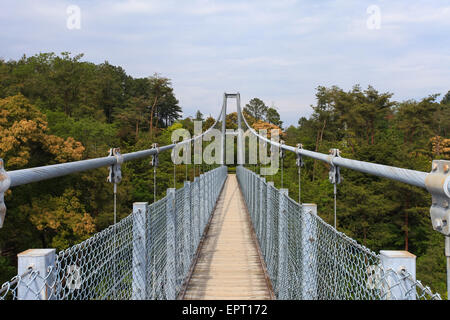 Hängebrücke über Natur-Szene Stockfoto