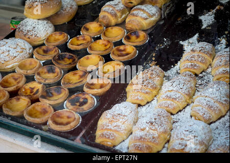 Pastel de Nata zu sehen in einem Schaufenster im Bairro Alto in Lissabon Stockfoto