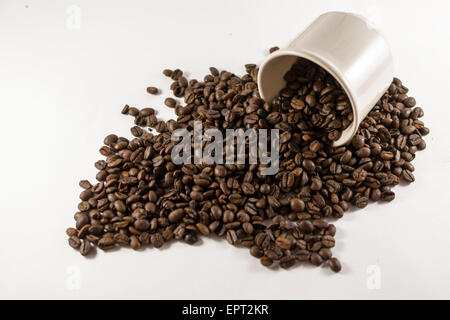Nahaufnahme von vielen Kaffeebohnen aus einer Tasse auf weißem Karton mit Exemplar Stockfoto