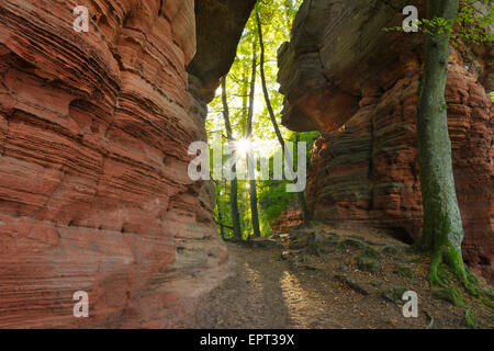 Sandstein-Felsformation mit Sonne, Altschlossfelsen, Eppenbrunn, Pfalzerwald, Rheinland-Pfalz, Deutschland Stockfoto