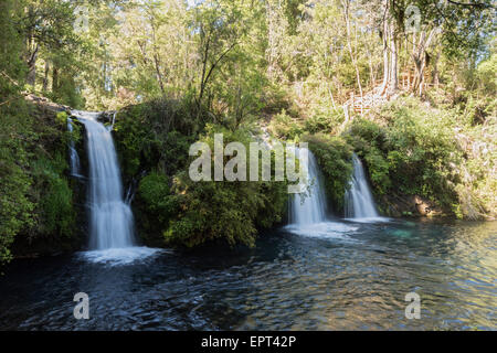 Los Ojos del Caburgua, in der Nähe von Pucón, in der IX-Region De La Araucanía, Chile Stockfoto
