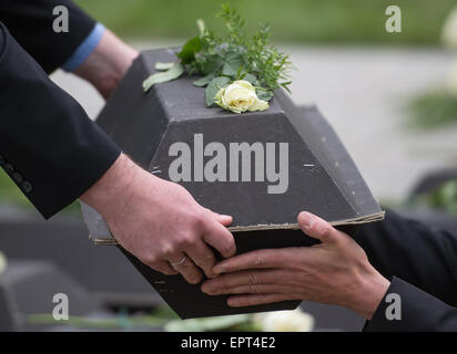 Wuhden, Deutschland. 21. Mai 2015. Eine weiße Rose wurde auf der Sarg mit den sterblichen Überresten eines deutschen Soldaten, die während des zweiten Weltkriegs in Wuhden, Deutschland, 21. Mai 2015 gekämpft gelegt. Die sterblichen Überreste von 30 deutschen Soldaten im zweiten Weltkrieg gekämpft wurden begraben, nachdem vom "Verein Zur Bergung Gefallener in Osteuropa e.V." in der Nähe von Wuhden wiederhergestellt wird (lit.) Verein für die Wiederherstellung von gefallener Soldaten in Osteuropa) im Oktober 2014. Foto: PATRICK PLEUL/Dpa/Alamy Live News Stockfoto