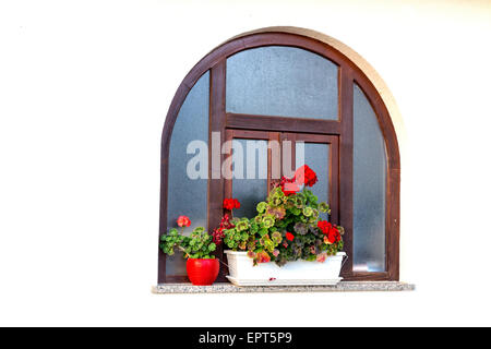 Abgerundete Holzrahmen Fenster mit roten Geranien Blumentöpfe und weiße Wand Stockfoto