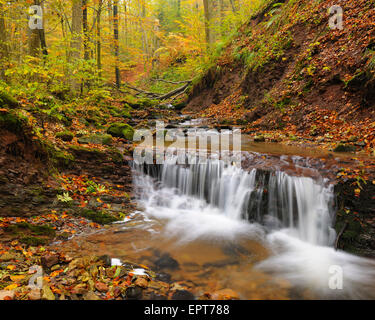 Cascade Creek im Herbst, Kaskadenschucht, Sandberg, Gersfeld, Rhön-Gebirge, Hessen, Deutschland Stockfoto