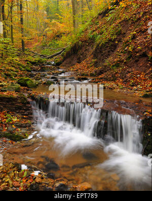 Cascade Creek im Herbst, Kaskadenschucht, Sandberg, Gersfeld, Rhön-Gebirge, Hessen, Deutschland Stockfoto
