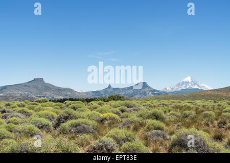Volcan Lanin, auf dem Argentinien / Chile Grenze Stockfoto