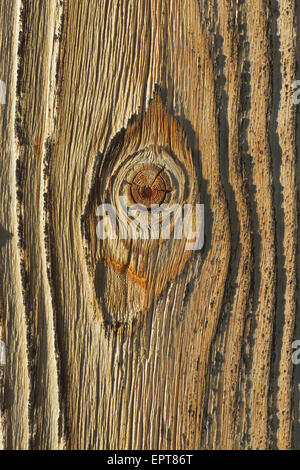 Nahaufnahme der Holzplatte, Bayern, Deutschland Stockfoto