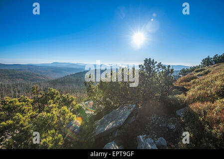 Malerische Aussicht auf die Berggipfel (Lusen) an einem hellen, sonnigen Morgen, Nationalpark Bayerischer Wald, Bayern, Deutschland Stockfoto