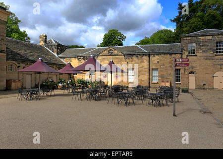 Hof Cafe Nostell Priory eine National Trust-Eigenschaft in der Nähe von Wakefield, West Yorkshire, England, UK. Stockfoto