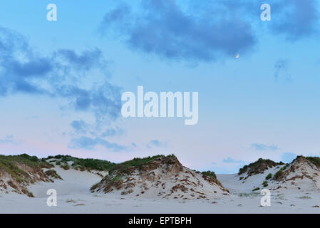 Dünen in der Abenddämmerung im Sommer, Norderney, East Frisia Insel, Nordsee, Niedersachsen, Deutschland Stockfoto