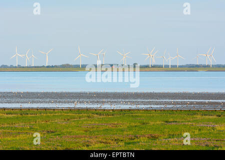 Marschland mit Nordsee und Windkraftanlagen, Norderney, East Frisia Insel, Nordsee, Niedersachsen, Deutschland Stockfoto