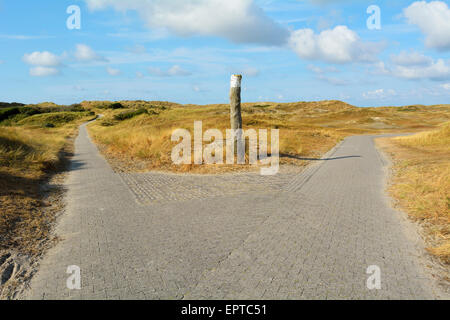 Gegabelt Pfad durch die Dünen zum Strand, Sommer, Norderney, East Frisia Insel, Nordsee, Niedersachsen, Deutschland Stockfoto