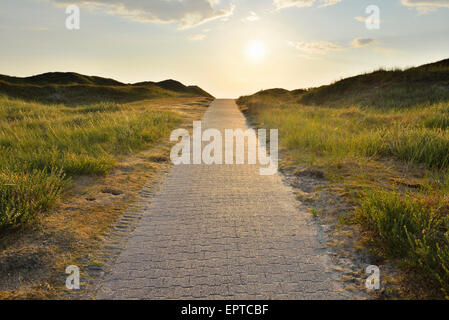 Dünen-Pfad mit Sonne im Sommer, Norderney, Nordsee, Ost Friesland Insel senken Sachsen, Deutschland Stockfoto