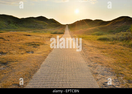 Dünen-Pfad mit Sonne im Sommer, Norderney, Nordsee, Ost Friesland Insel senken Sachsen, Deutschland Stockfoto