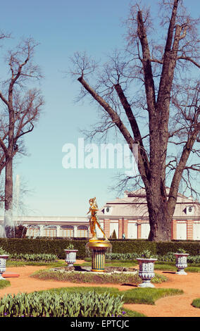 Monplaisir Garten in Peterhof Stockfoto