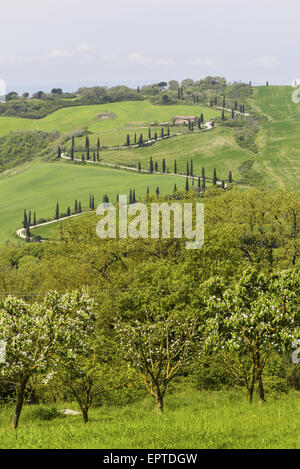 Chiarentana, Toskana, Italien Stockfoto