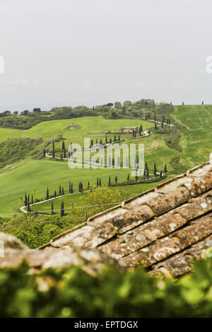 Chiarentana, Toskana, Italien Stockfoto