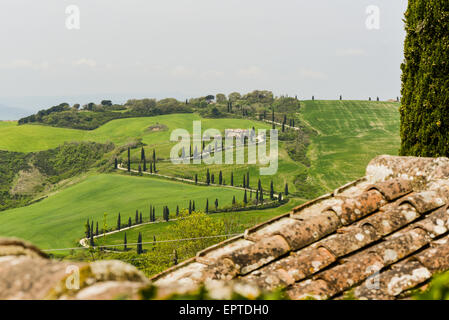 Chiarentana, Toskana, Italien Stockfoto