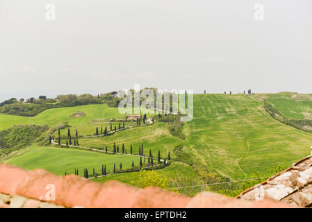 Chiarentana, Toskana, Italien Stockfoto